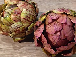 菊芋,塑料,看起來真