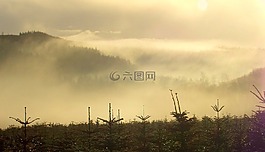 霧,山,高峰