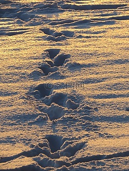 痕跡,雪,斯諾巷