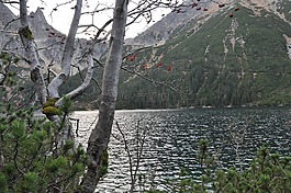 池塘,山,樹