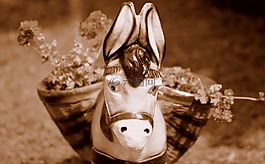 驢,鮮花,小雕像