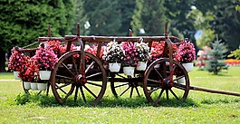 購物車,鮮花,鄉(xiāng)村