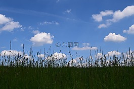 背景,地平線,天空