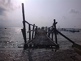 海灘,橋,海岸