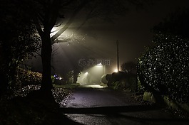 朦朧,車道,有霧