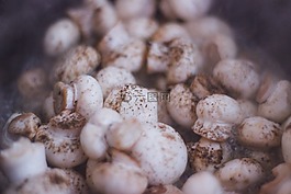 蘑菇,蔬菜,食品