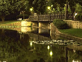 行人天桥,夜,黄昏