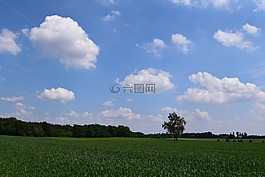 背景,天空,云
