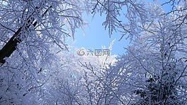 冬季,雪,弗羅斯特
