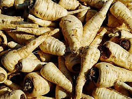 根,蔬菜,食品