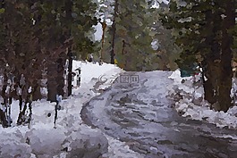 雪,路,森林