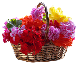 購(gòu)物籃,花束,花