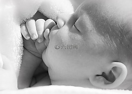 嬰兒,手,新生兒