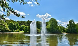 公園,綠色區域,高峰