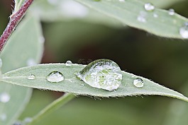 拖放,水,性質(zhì)