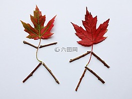 葉子,秋天,秋