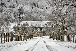 冬天,雪,冷