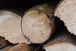 木,柴,holzstapel