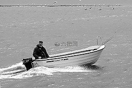 魚,引導(dǎo),湖