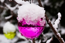 新西蘭,christbaumkugeln,冬天