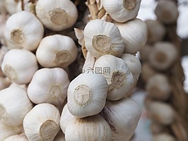 大蒜,白,食品