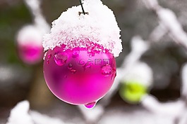 新西蘭,christbaumkugeln,冬天