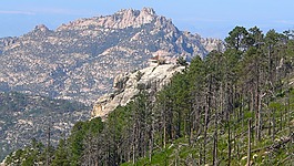 亚利桑那州,山,景观