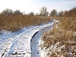 雪,軌道,冬天
