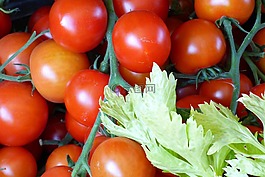 西紅柿,食品,健康
