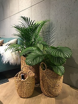 購物籃,內(nèi)政部,鮮花