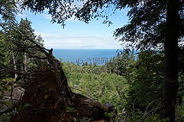 景區(qū),海洋,徑