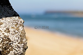 海灘,石,沙