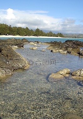 海灘,海洋,海