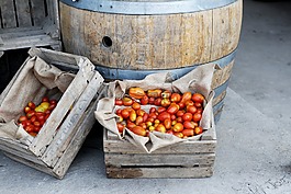 蕃茄,蔬菜,食品