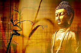 竹,文具,佛