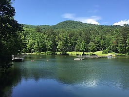 湖,荒野,树