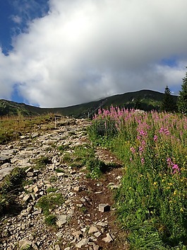 冬奧會(huì),山,線索