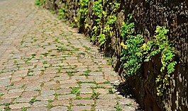修補程序,鵝卵石,路