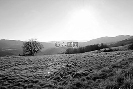 ardeche,冬天,自然