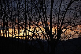 樹(shù),日落,景觀