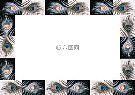 孔雀羽毛,模式,眼睛
