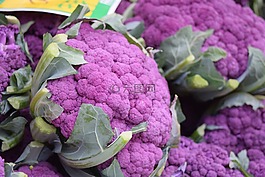 蔬菜,花椰菜,紫羅蘭色