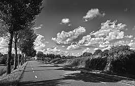 路,農(nóng)村,旅行