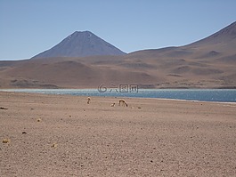 火山,湖,景观