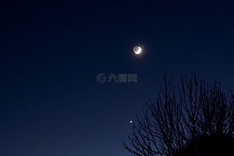 月亮,金星,行星