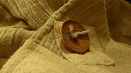 紡織品,物質,組織