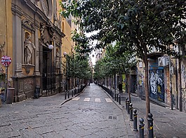 路,樹木,大道