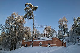 雪,冬季,冷淡地