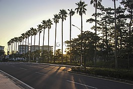 清晨,陽光,晴天