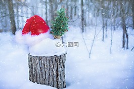 圣誕老人的帽子,雪,冬天
